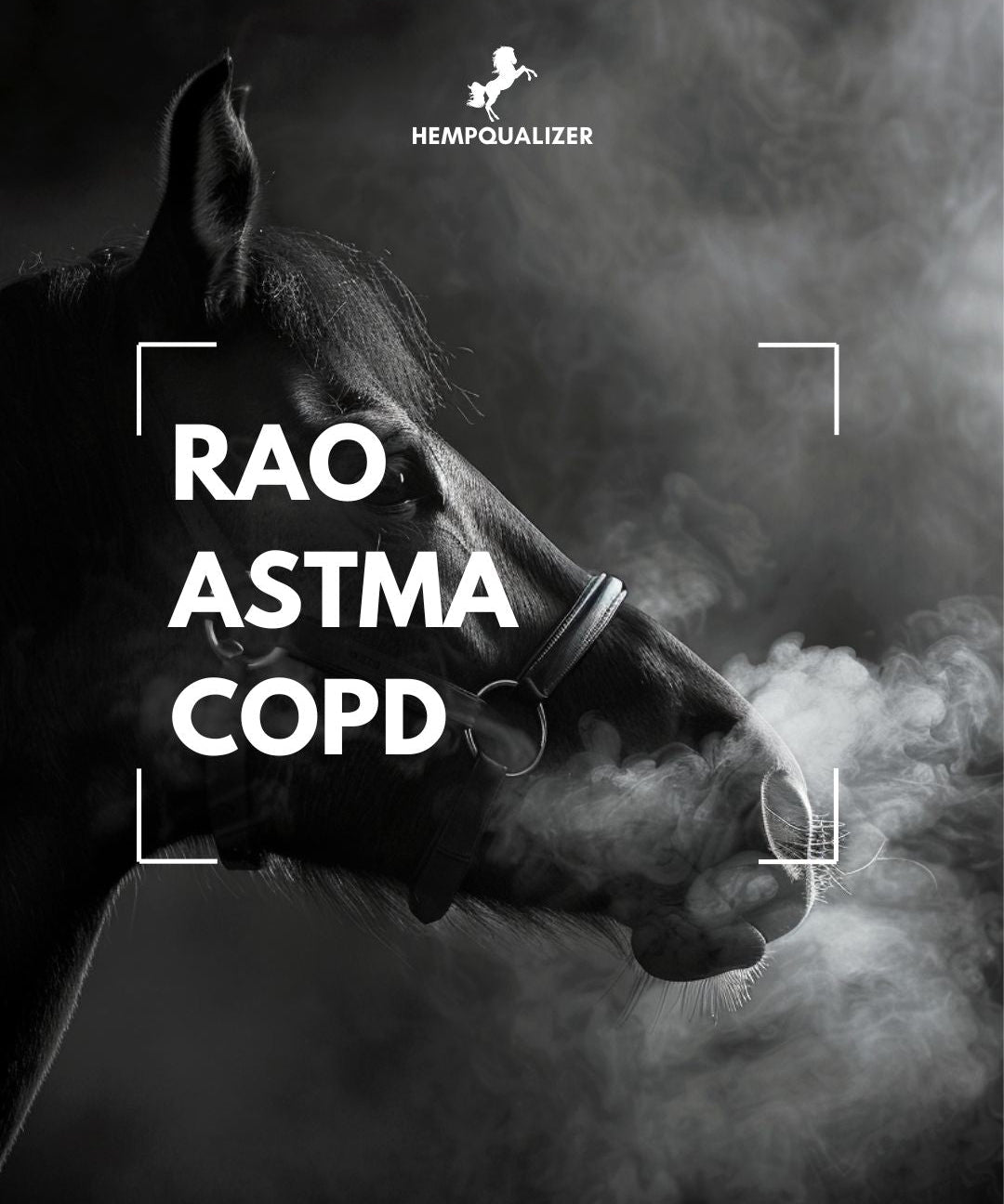 RAO, ASTMA, COPD U KONI