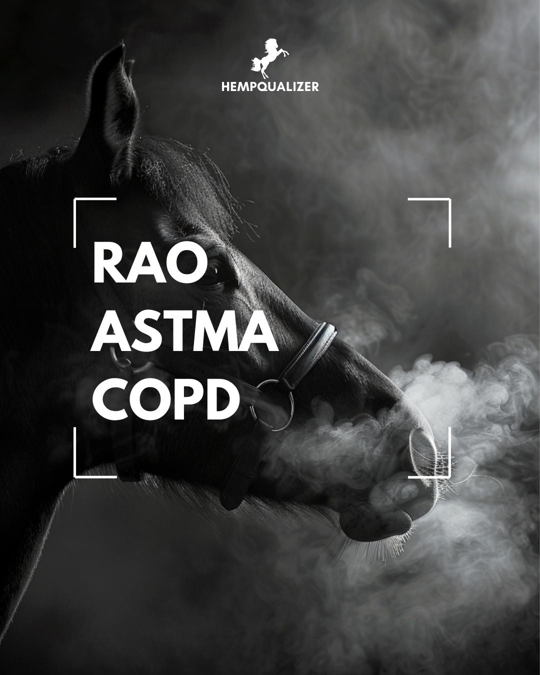 RAO, ASTMA, COPD U KONI