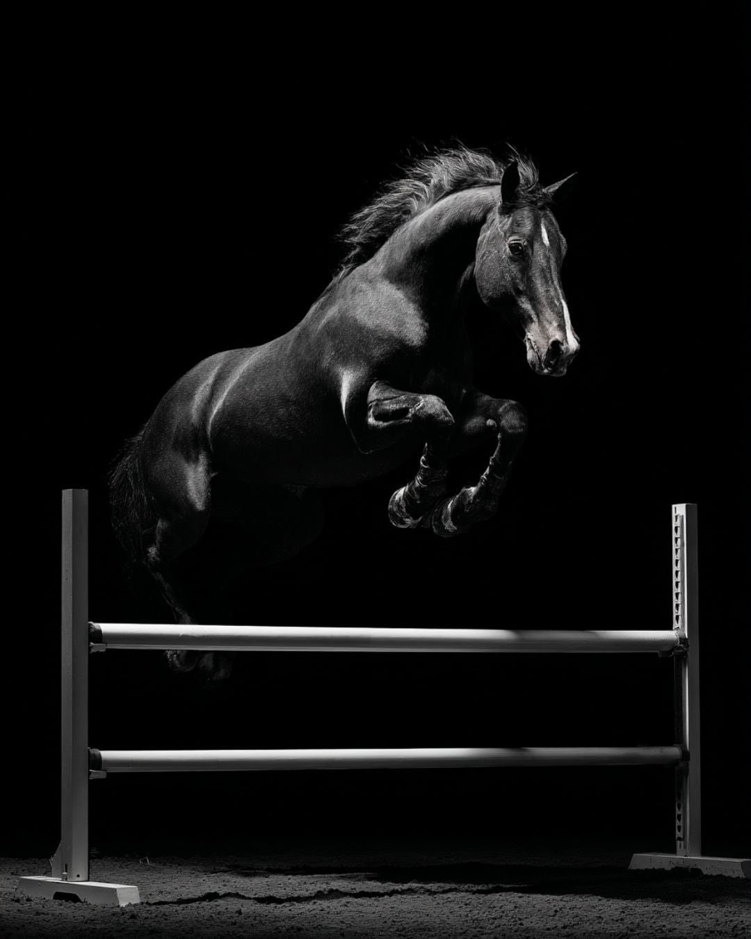 Jak nie doprowadzić do powstania freeze ani do jego utrwalenia u koni skokowych?