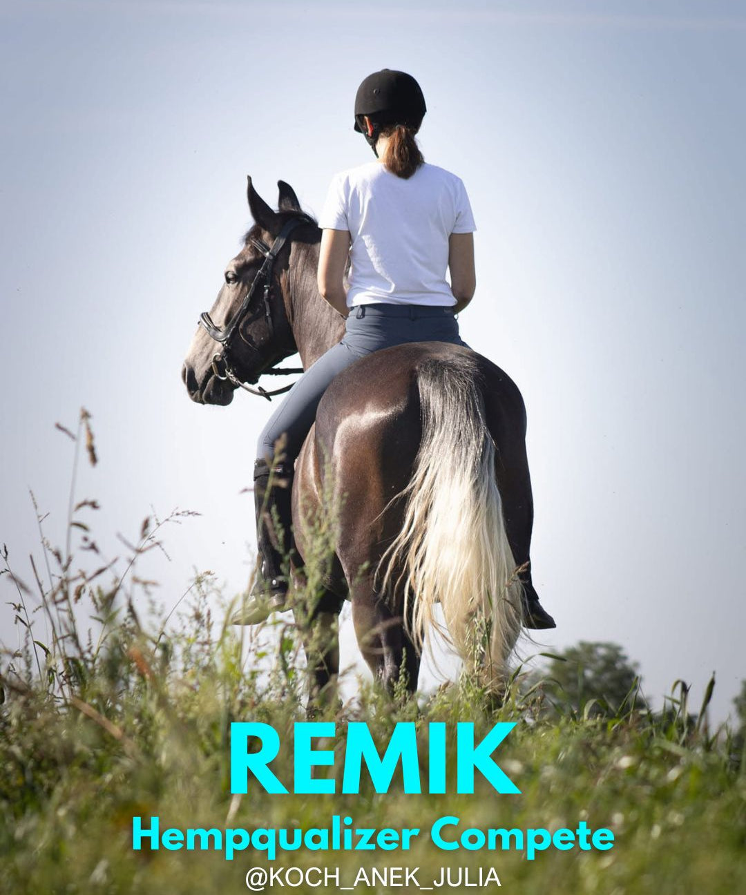 HEMPQUALIZER COMPETE : REMIK