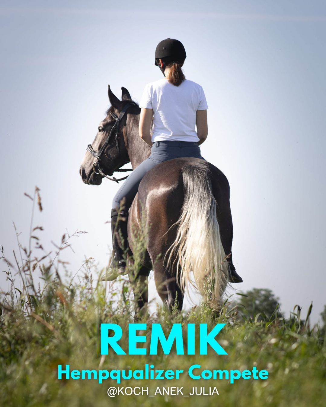 HEMPQUALIZER COMPETE : REMIK