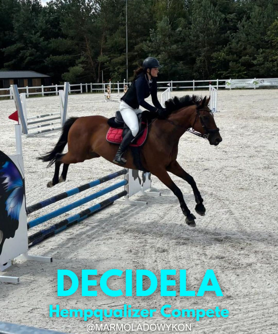 HEMPQUALIZER COMPETE: DECIDELA I OBERLINA