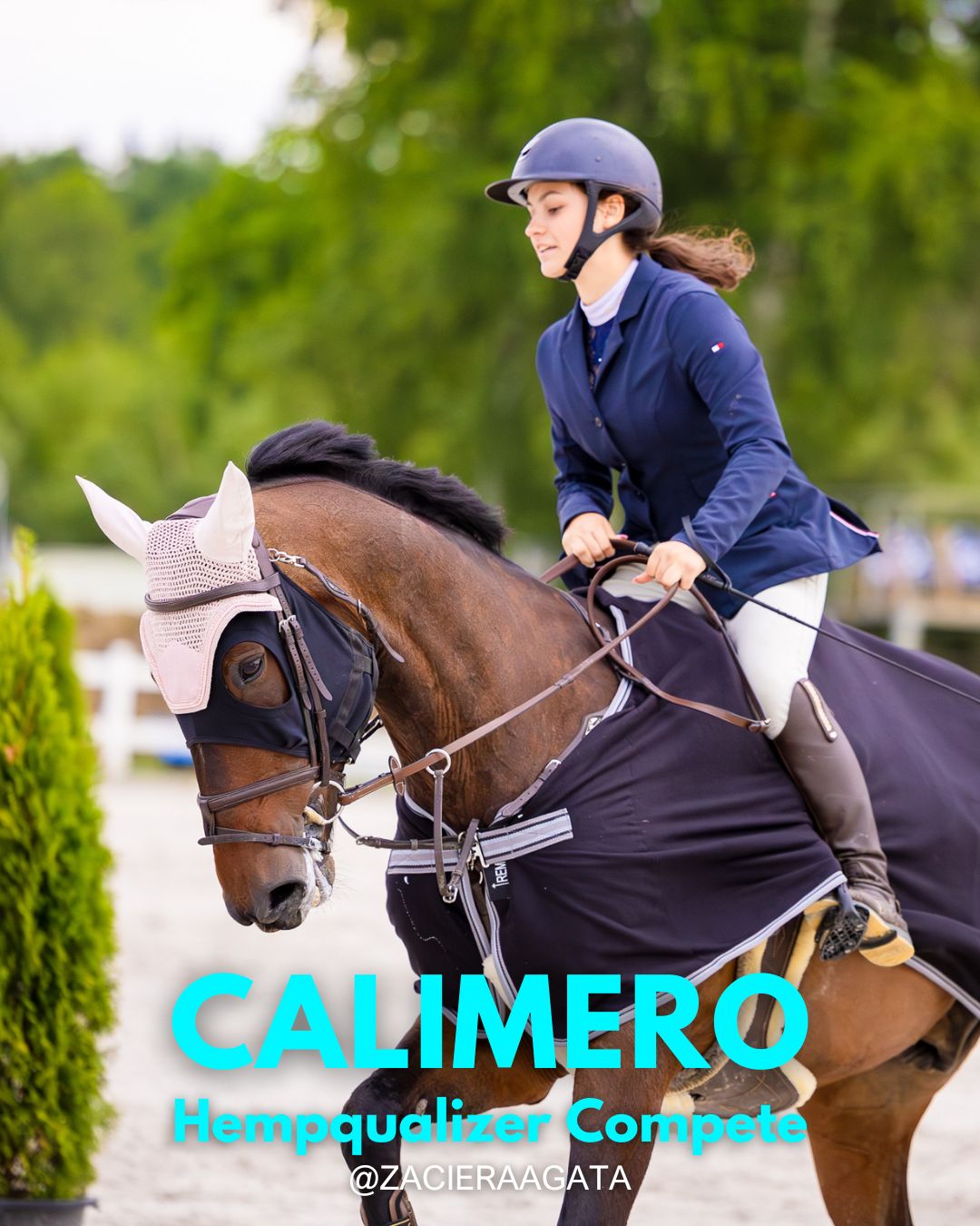 HEMPQUALIZER COMPETE: CALIMERO
