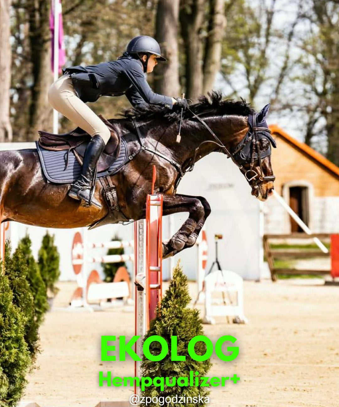 HEMPQUALIZER+ : EKOLOG