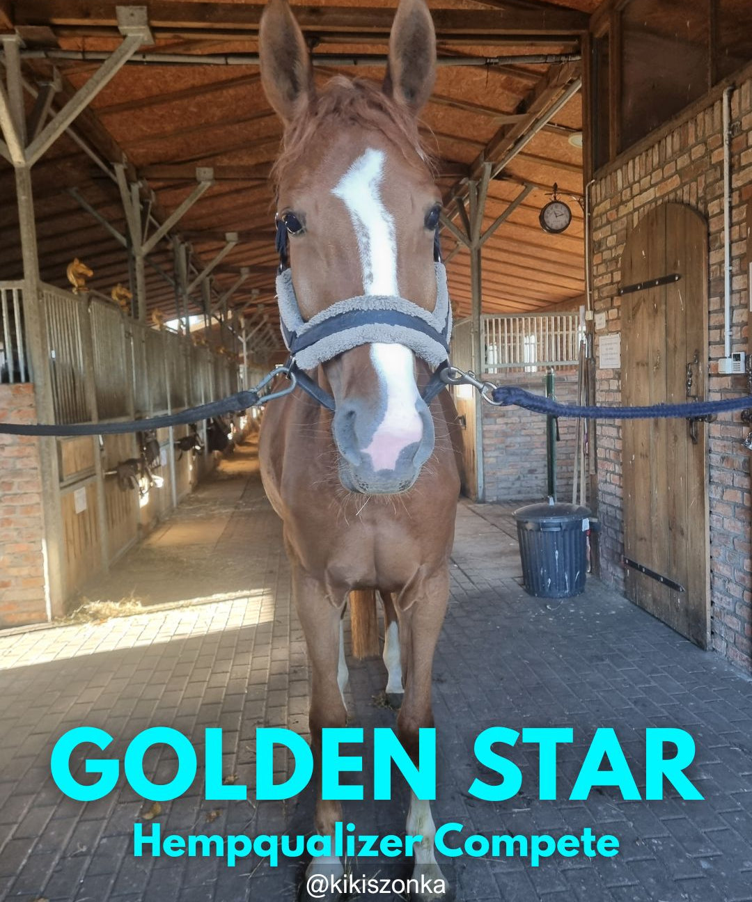 HEMPQUALIZER COMPETE GOLDEN STAR USPOKOJENIE