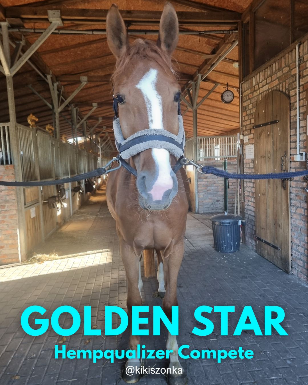 HEMPQUALIZER COMPETE GOLDEN STAR USPOKOJENIE