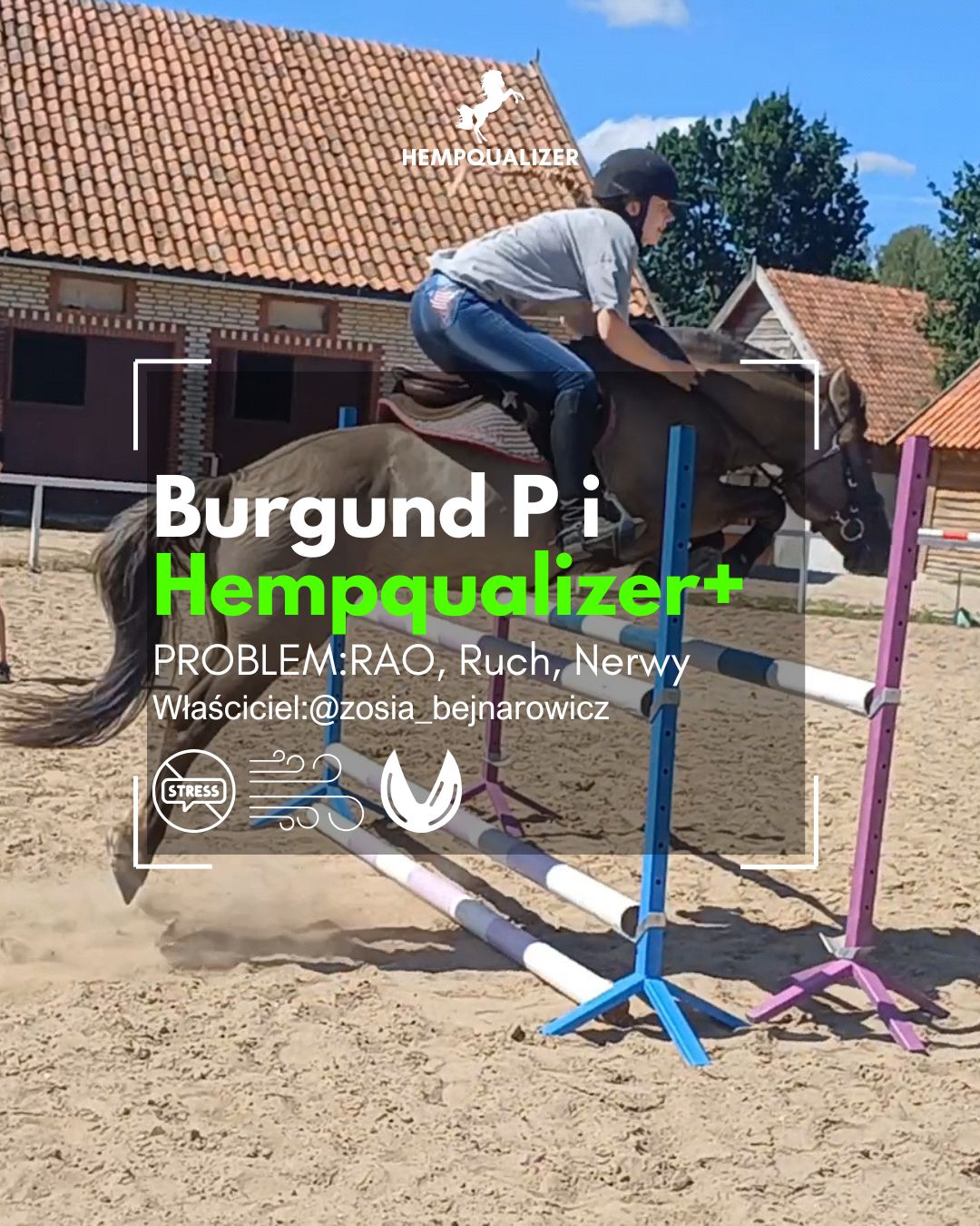 HEMPQUALIZER+ BURGUND P RAO/USPOKOJENIE/POPRAWA RUCHU