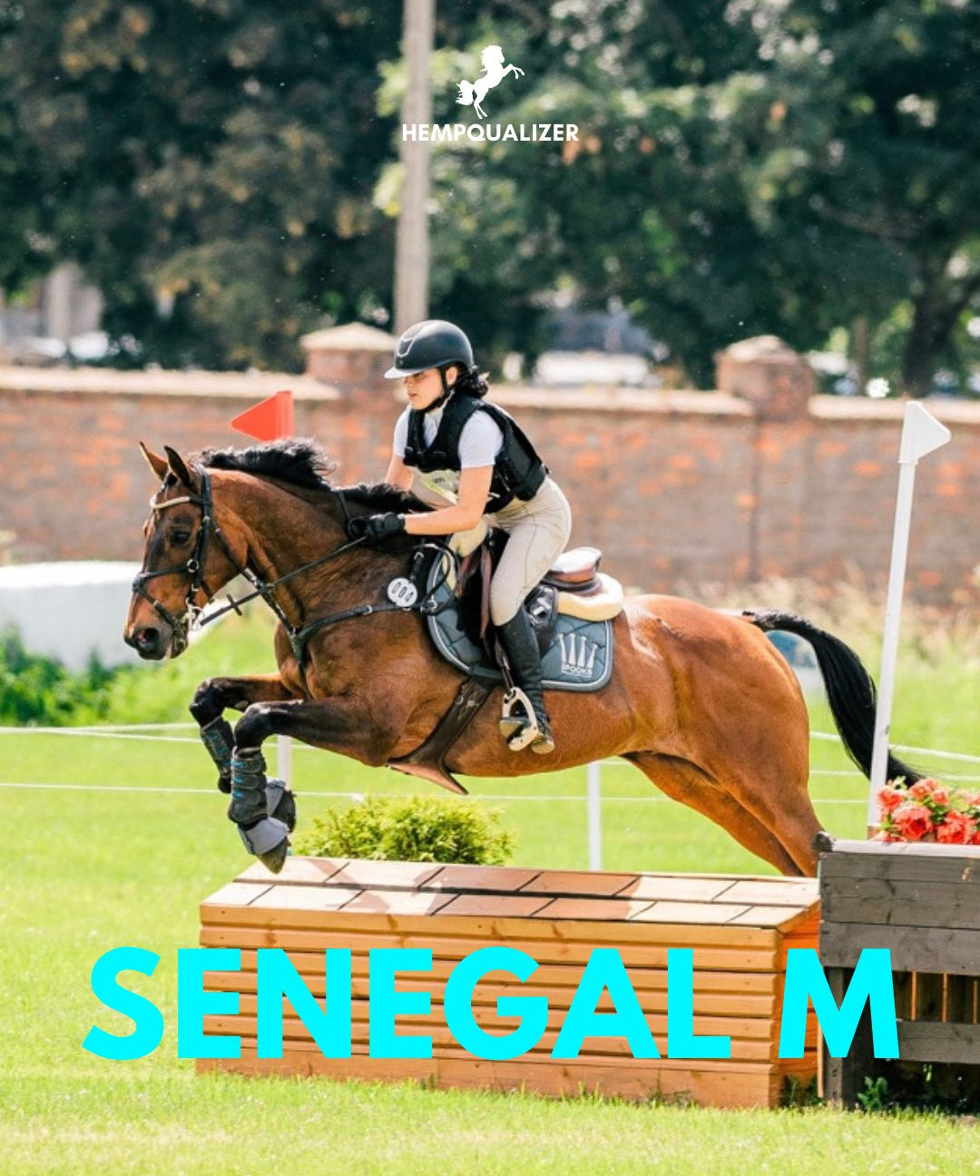 HEMPQUALIZER COMPETE SENEGAL M SPOKÓJ I KONCENTRACJA