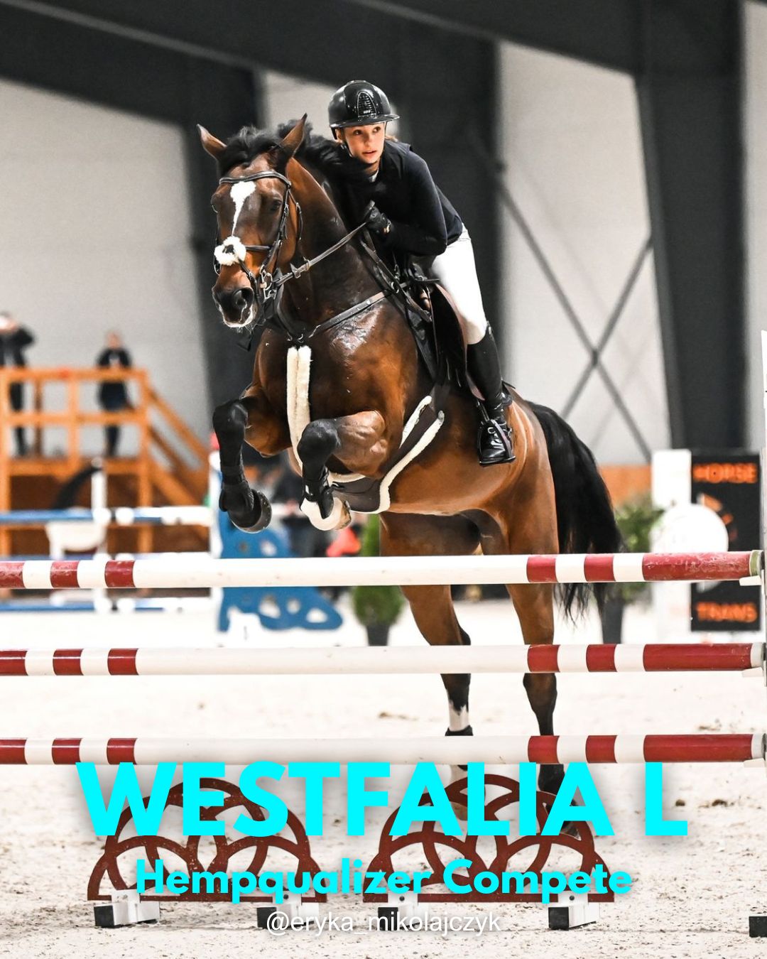 HEMPQUALIZER COMPETE WESTFALIA L SPOKÓJ I SKUPIENIE