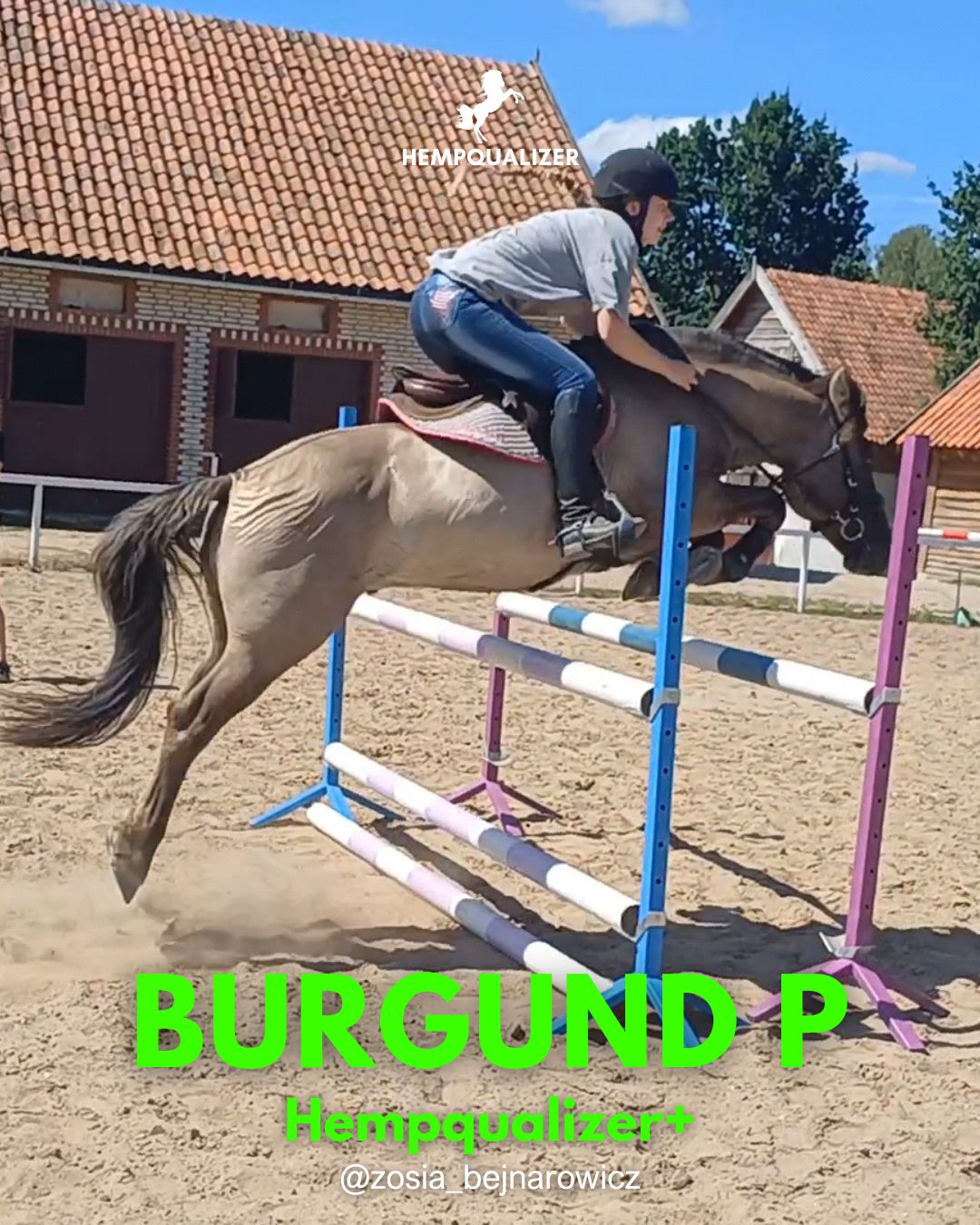 HEMPQUALIZER+ BURGUND P RAO/USPOKOJENIE/POPRAWA RUCHU