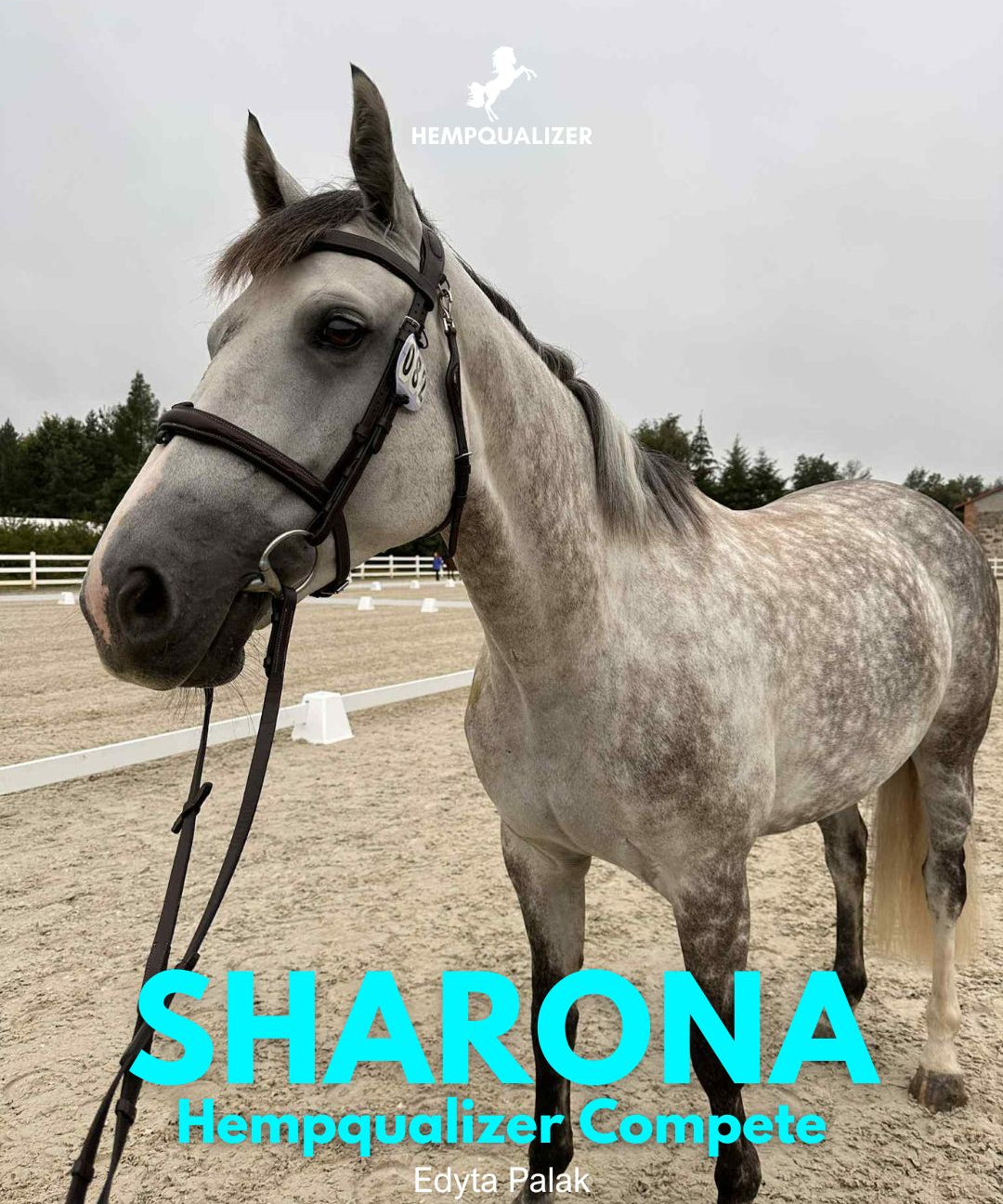 HEMPQUALIZER COMPETE SHARONA STRES NA ROZPRĘŻALNI