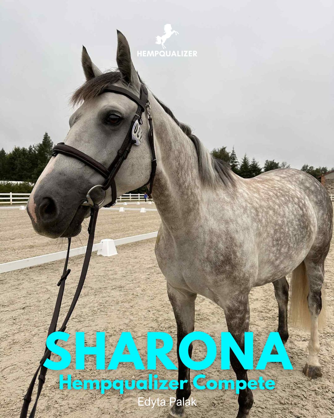 HEMPQUALIZER COMPETE SHARONA STRES NA ROZPRĘŻALNI