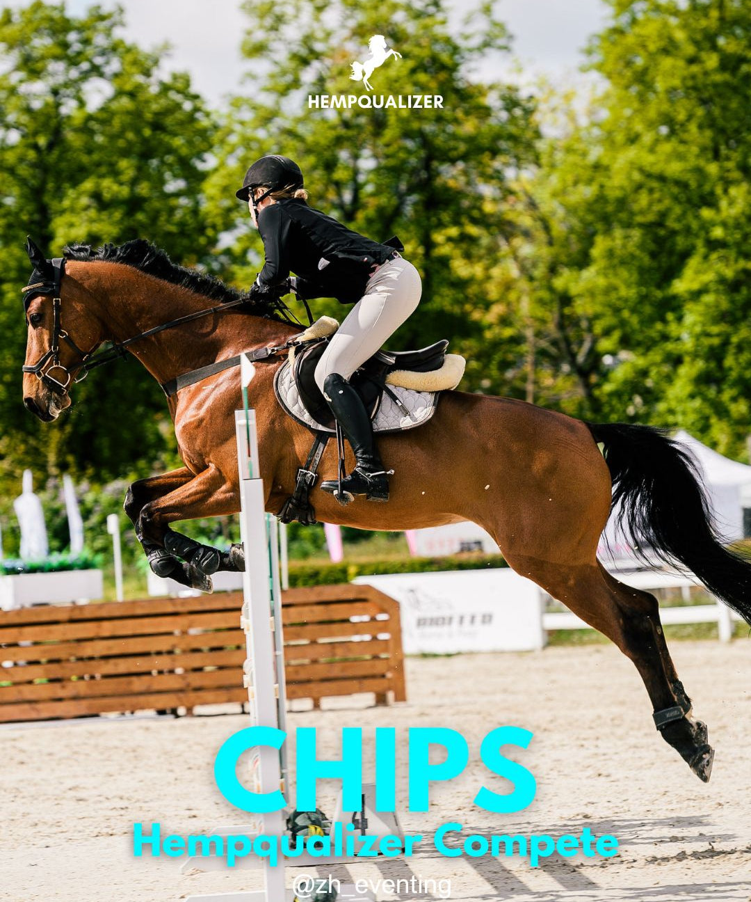 HEMPQUALIZER COMPETE CHIPS USPOKOJENIE