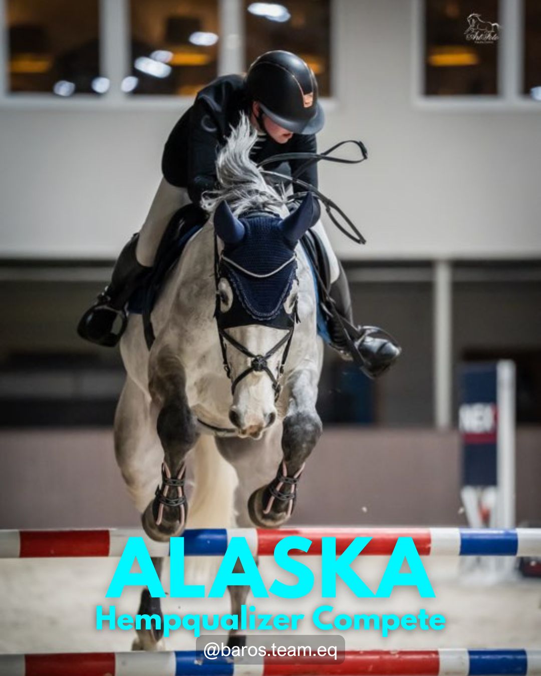 HEMPQUALIZER COMPETE ALASKA USPOKOJENIE