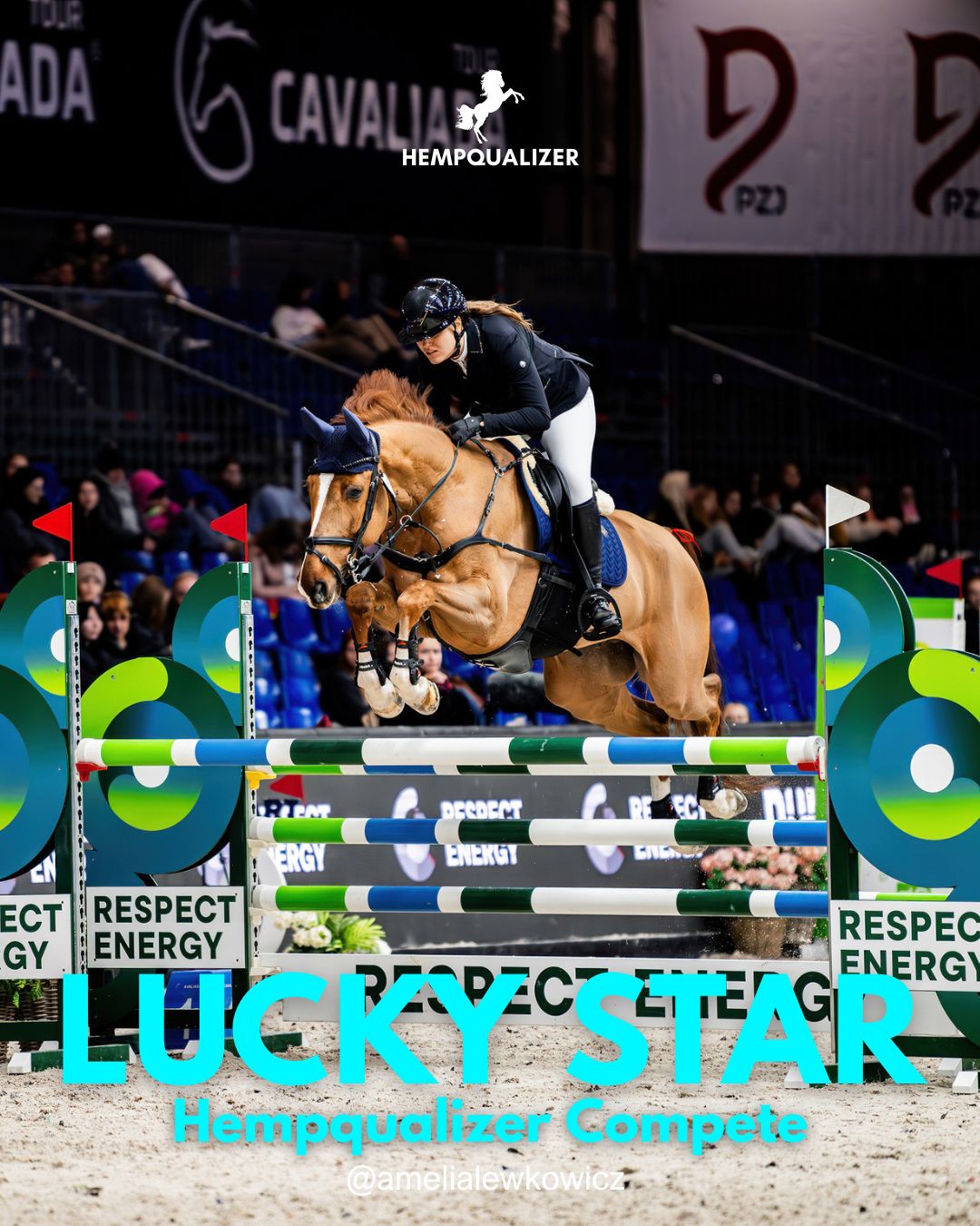 HEMPQUALIZER COMPETE LUCKY STAR W USPOKOJENIE