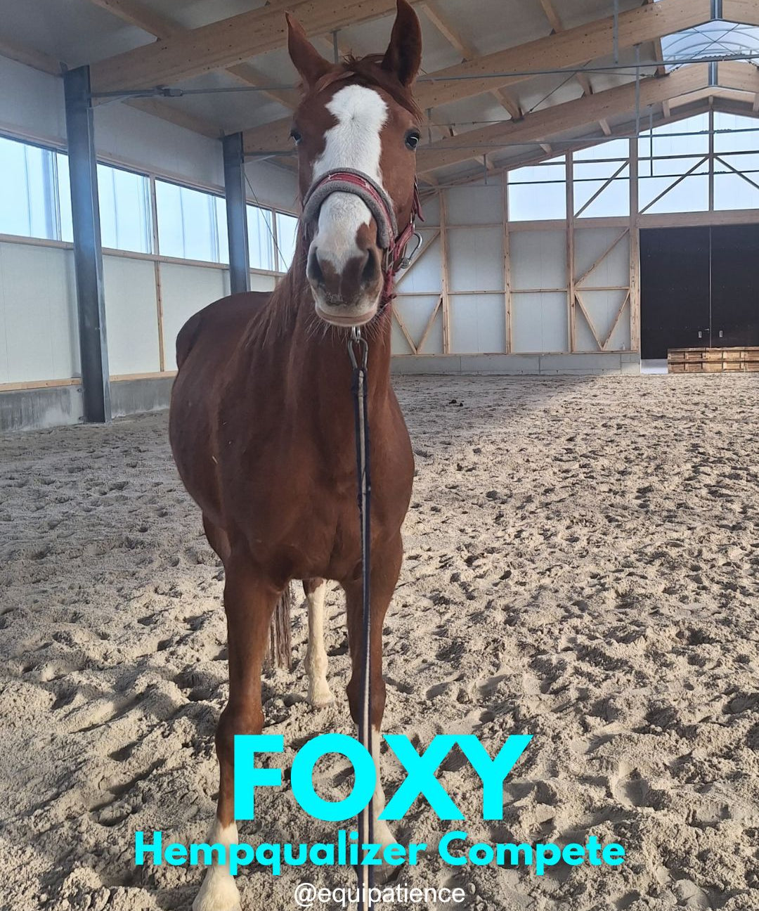 HEMPQUALIZER COMPETE FOXY USPOKOJENIE