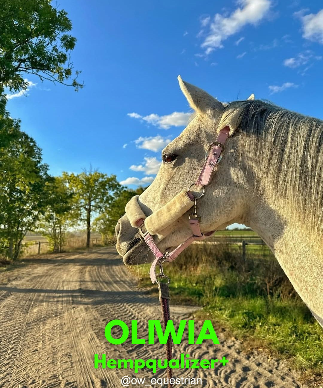 HEMPQUALIZER+ : OLIWIA