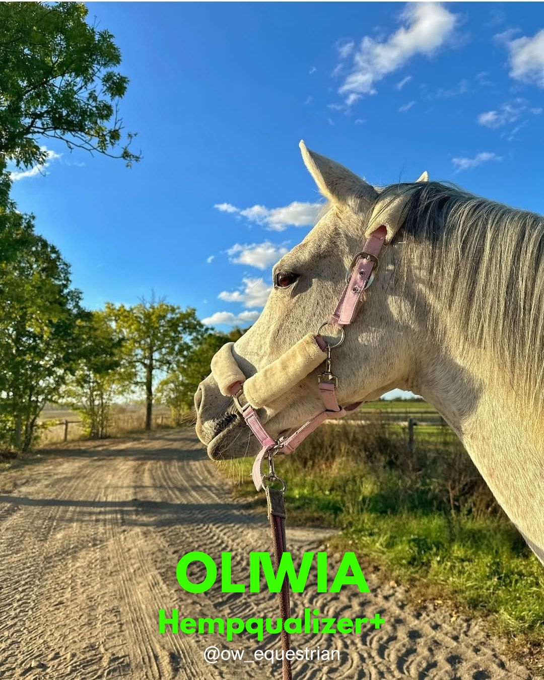 HEMPQUALIZER+ : OLIWIA
